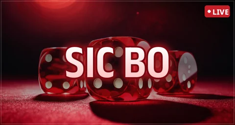 Sic Bo live table on AllPanel